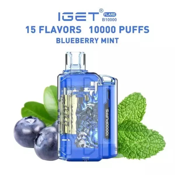 IGET FLARE B10000 – Blueberry Mint - Vape Shop Noida